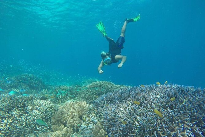 Private Snorkeling Gili Island (Coral, Statue and Turtle) - Price and what you’re really paying for