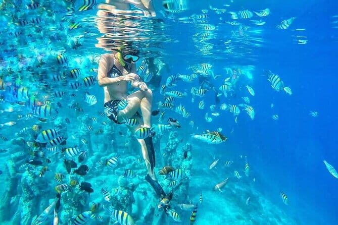 Private Snorkeling Gili Island Including GoPro Camera - Snorkeling Gear and Comfort: Fins, Fit, and Staying at Your Pace