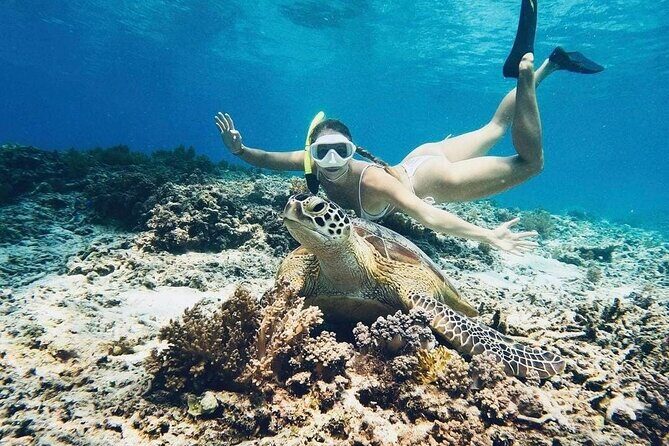 Private Snorkeling Start Gili Meno and Explore 4 Spots with GoPro - Key highlights you’ll care about
