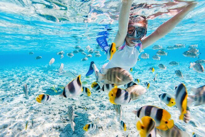 Private Snorkeling Start Gili Meno and Explore 4 Spots with GoPro - Stop 3: Turtle Heaven for Green and Hawksbill Turtle Time