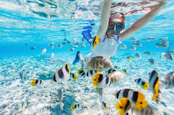 Private Snorkeling Start Gili Meno and Explore 4 Spots with GoPro - Gili Air Break: A Breather Before the Glass-Bottom Ride
