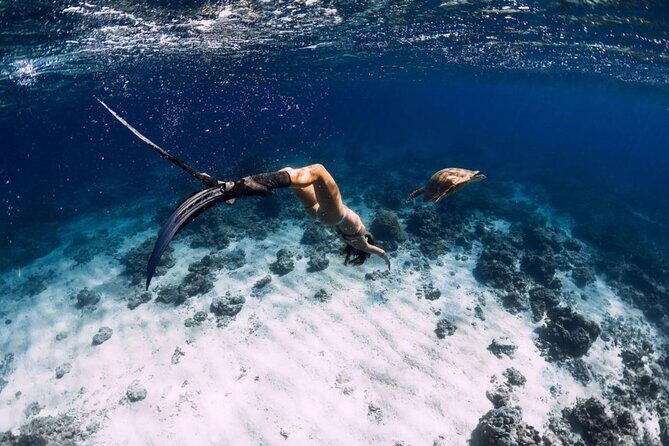 Private Snorkeling Start Gili Meno and Explore 4 Spots with GoPro - The 4-Hour Plan: How the Day Stays Moving Without Feeling Rushed