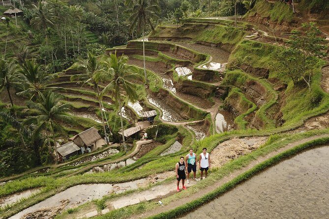 Private Tour: Bali Volcano with Jungle Swing Experience - What the included price actually covers (and why it feels fair)