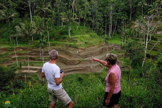 Private Tour: Balinese Culture and Scenery (visit ubud area) - Balinese Dance and Coffee Plantation: Two Stops That Add Texture
