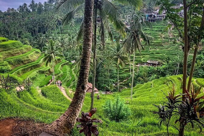Private Tour: Best of Bali - All Inclusive Tickets - Getting Picked Up: AC Vehicle, English Guide, and Mobile Tickets