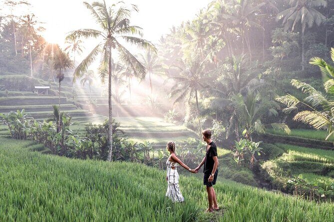 Private Tour To Tibumana Waterfall, rice terraces & Jungle Swing - Tibumana Waterfall: jungle cove scenery and time to savor it