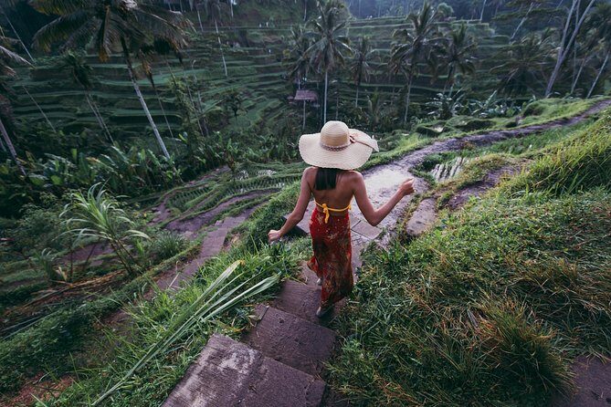 Private Tour: Ubud and Tanah Lot Day Tour - Taman Ayun Temple: royal-era temple grounds with a calm, scenic layout