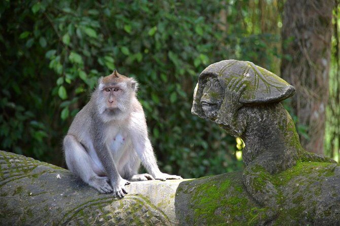 Private Tour: Ubud Day Tour with Traditional Offering Lesson - Temples, Spiritual Life, and the Meaning Behind the Offering