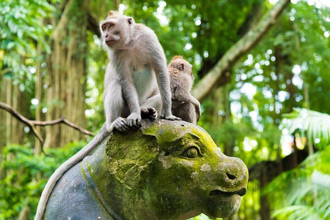Private Tour: Ubud Highlights - Price and Value for a 10-Hour Private Day in Ubud
