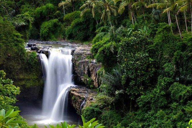 Private Tour - Ubud Kintamani Tours - The Big Picture: How This Ubud–Kintamani Day Works