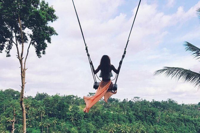 Private Ubud and Volcano Day Trip - Your driver and the flexibility that turns a route into a day