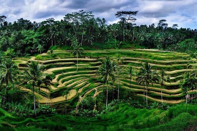 Private Ubud and Volcano Day Trip - Stop 2: Gunung Kawi Temple and its rock-cut shrine reliefs