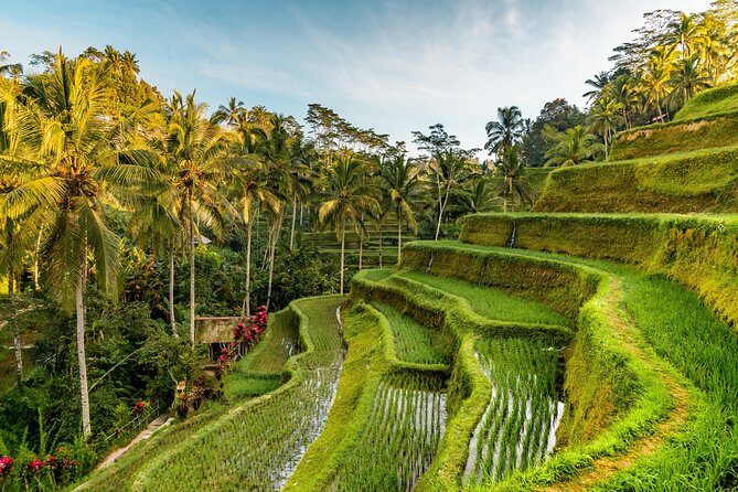 Private Ubud Day Tour - Stop 3: Tegenungan Waterfall and the Splash Zone