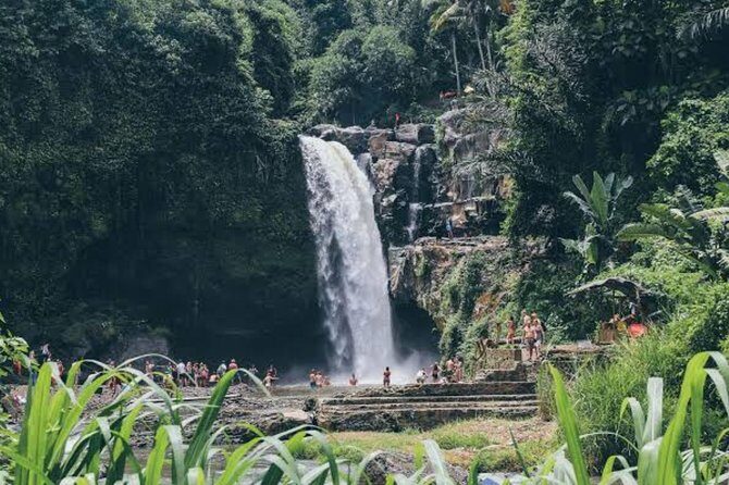 Private Ubud Day Tour - Transportation, Timing, and Why 8–9 Hours Works