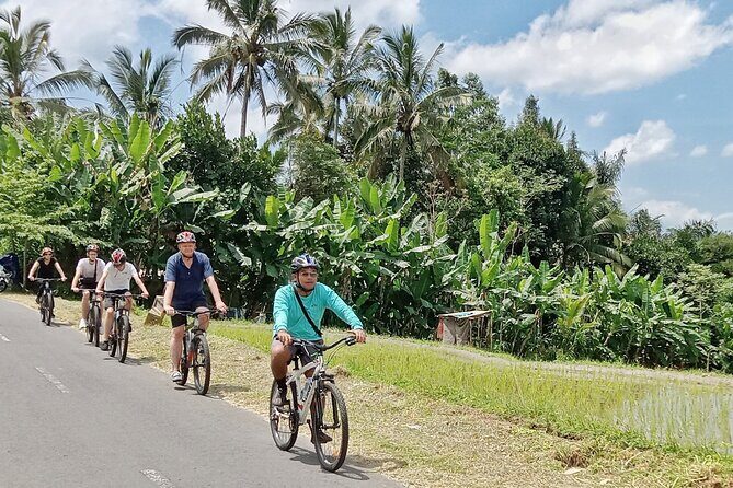 Private Ubud Downhill Cycling with Volcano, Rice Paddies & Meal - 7:00am Pickup, Time-on-the-Road, and What the Day Really Includes
