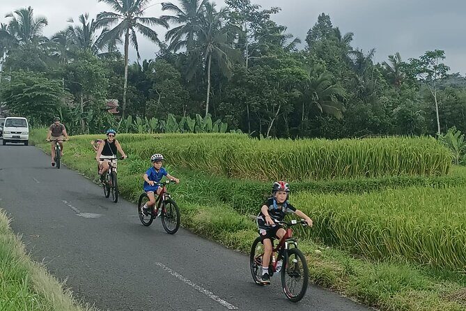 Private Ubud Downhill Cycling with Volcano, Rice Paddies & Meal - Manukaya Downhill Through Villages and Rice Paddies