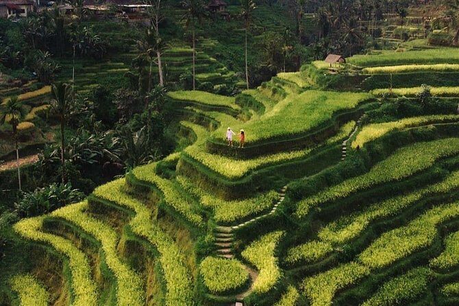 Private Ubud Tour - Quick highlights