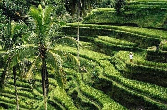 Private Ubud Tour - Batuan Temple: a slower look at Bali’s older temple scenes