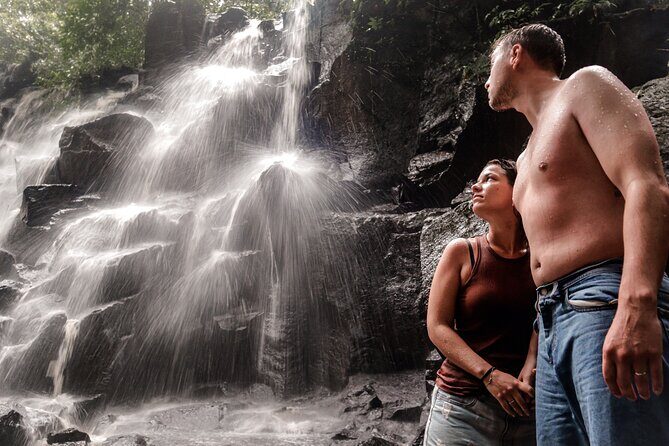 Private Ubud Tour: Waterfall, Rice Terrace & Monkey Forest - Ubud made easy: a private day with real breathing room