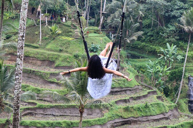 Private Ubud Tour: Waterfall, Rice Terrace & Monkey Forest - Sacred Monkey Forest: fun, but follow the rules