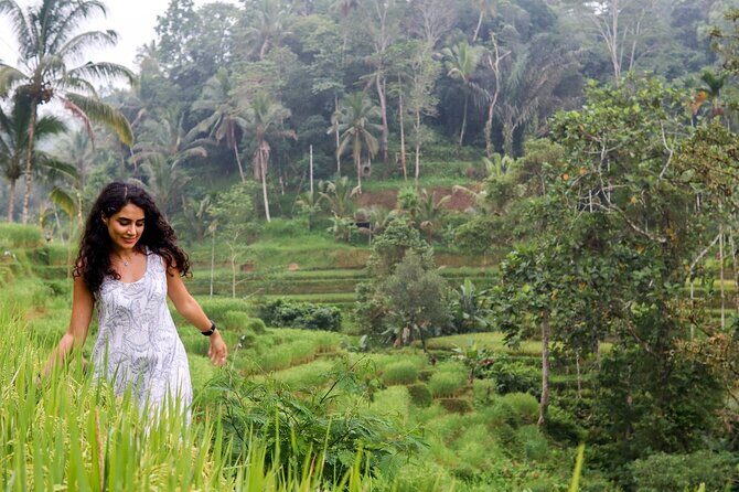 Private Ubud Tour: Waterfall, Rice Terrace & Monkey Forest - Price and logistics: does $39 really add up?