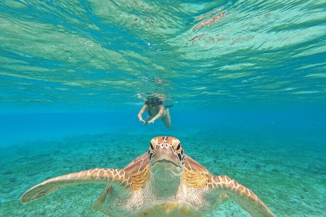 Public Snorkeling 3 Islands - Key highlights at a glance