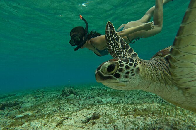 Public Snorkeling 3 Islands - Meeting at Ozze Cottage and fitting gear before you go