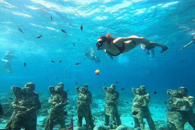 Public Snorkeling 3 Islands - Garden Fish feeding: the practical way to spot more action