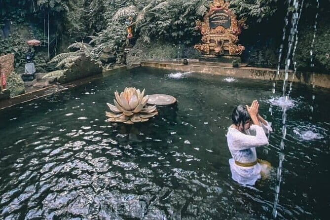 Purification Ceremony, Kehen Temple and Goa Raja Waterfall Tour - Who this tour is best for (and who should skip it)