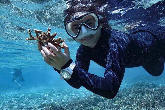 Reef Rehabilitation Course and Snorkeling - Reef Restoration Basics: What This Course Really Gives You