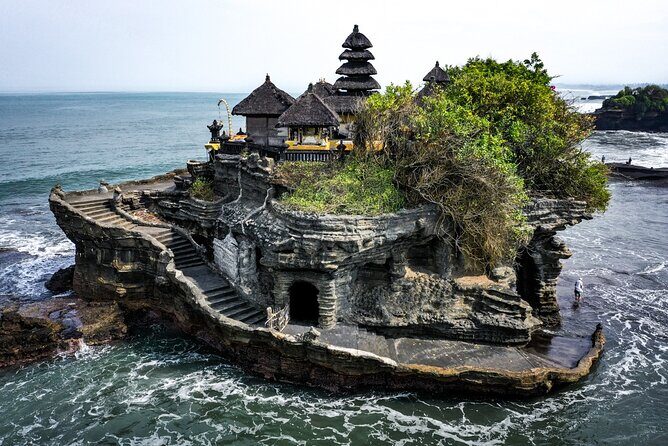 Royal Family Temple, Monkey Forest, and Tanah Lot Sunset Tour - Alas Kedaton Monkey Forest: Macaca fascicularis and bats in one protected space