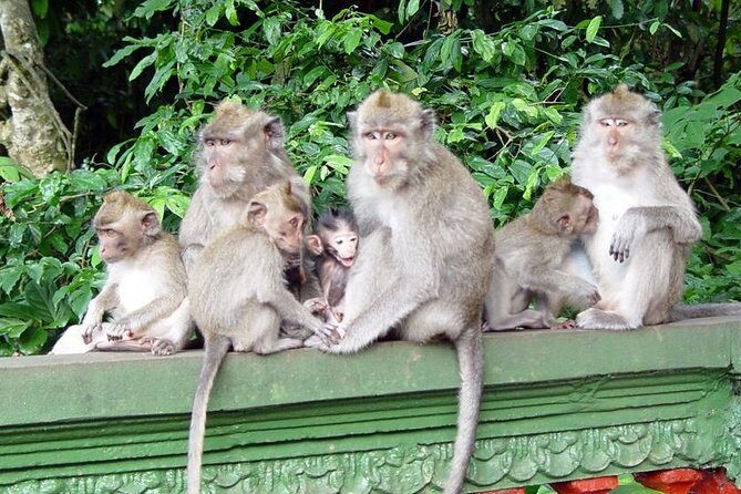Royal Family Temple, Monkey Forest, and Tanah Lot Sunset Tour - How the private tour pacing works (and how to get more from it)