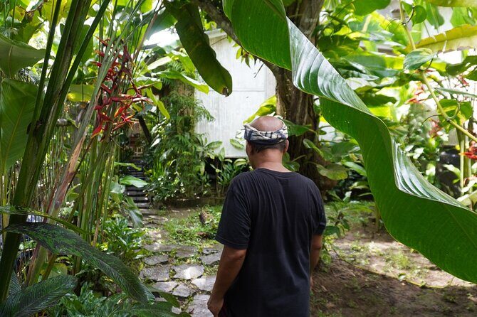 Rural Charm of Bali Tour - The Countryside Walk: Kites, Rice Terraces, and Spice Plants