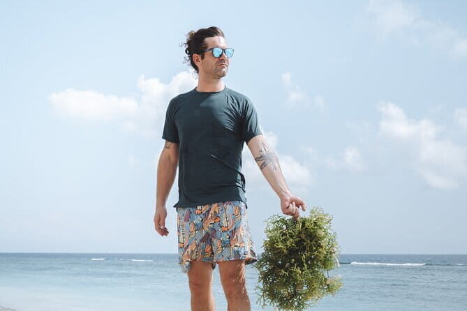 Seaweed Farming Activity and Sightseeing at Diamond Beach - Key highlights I’d circle before you book