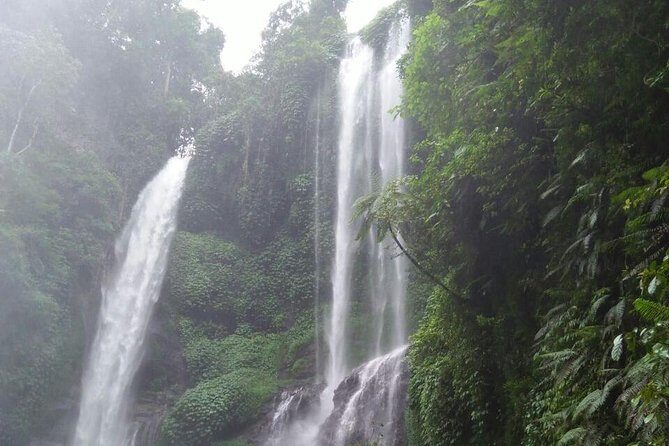 Sekumpul waterfall & aling2 waterfall with private service (including activity) - Why Sekumpul and Aling-Aling fit together so well