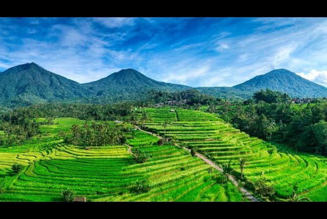 Sidemen Highlights Day Tour - Sidemen rice field walk: an easy track with big views