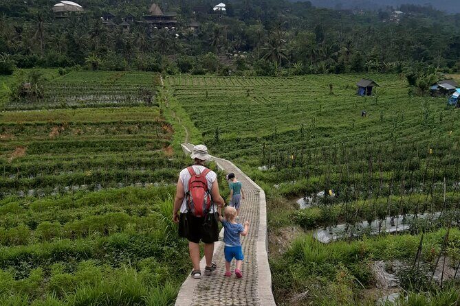 Sidemen Trekking Through Rice Terraces and Villages - Key Highlights You’ll Notice Fast