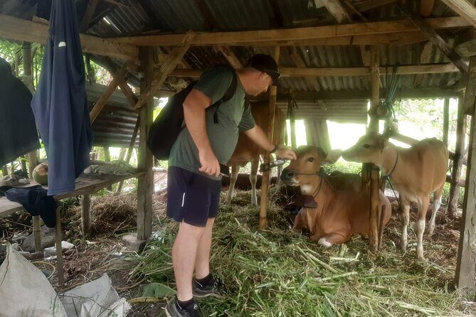 Sidemen Trekking Through Rice Terraces and Villages - Mount Agung Viewpoints: When the Mountain Looks Close