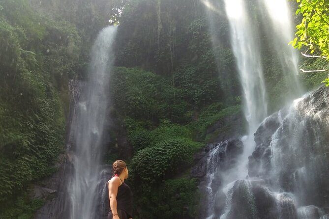 Small-Group Sekumpul Waterfall Jungle Trek with Lunch - The Jungle Walk: Rice Paddies, Coffee and Clove, and That 2km Rhythm