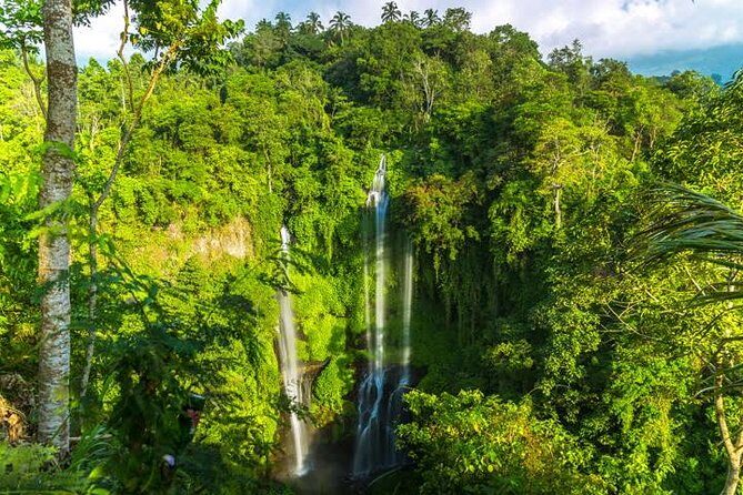 Small-Group Sekumpul Waterfall Jungle Trek with Lunch - Sekumpul Waterfall: Seven Cascades, Tree-Lined Cliffs, and a Rope Bridge