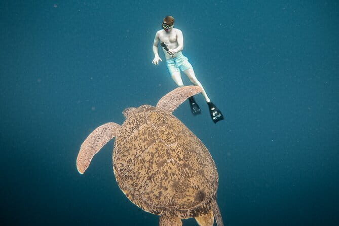 Snorkeling 3 Spots with GoPro & West Coast Tour Nusa Penida - Why Nusa Penida West Side Is a Full-Day Win