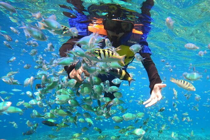 Snorkeling 3 Spots with GoPro & West Coast Tour Nusa Penida - Gamat Bay Snorkel: Coral Reefs and Sea Life Time
