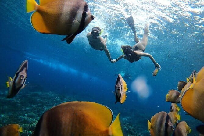 Snorkeling 3 Spots with GoPro & West Coast Tour Nusa Penida - GoPro Documentation: Why It’s a Big Deal on a Windy Island