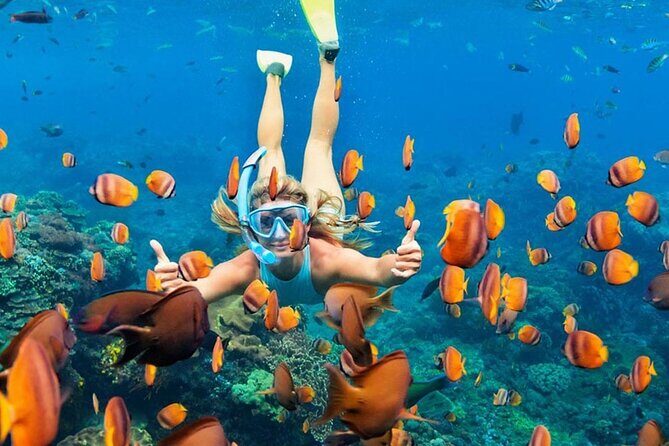 Snorkeling adventure to the manta ray habitat in Nusa Penida - Your Guide’s GoPro Photos and Videos: Sharing the Moment