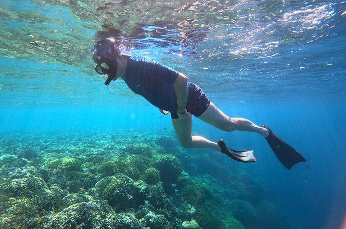 Snorkeling at Menjangan Island Bali Hidden Underwater Gem - Included vs Not Included: What You Get for $48 (and What You Can Skip)