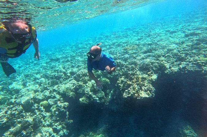 Snorkeling at Menjangan Island Bali Hidden Underwater Gem - Itinerary Breakdown: Two Stops Without the Hard Sell