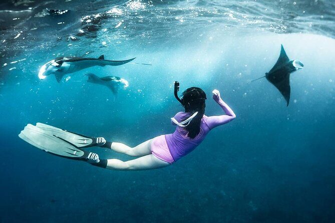 Snorkeling Manta Ray in Nusa Lembongan - Into the water: equipment, in-water guidance, and how to help yourself spot mantas