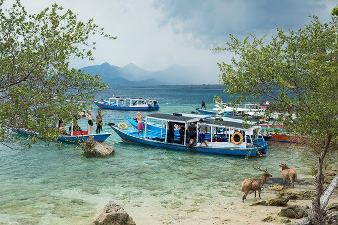 Snorkeling & Trekking at West Bali National Park - The snorkeling details that matter (gear, pace, and expectations)