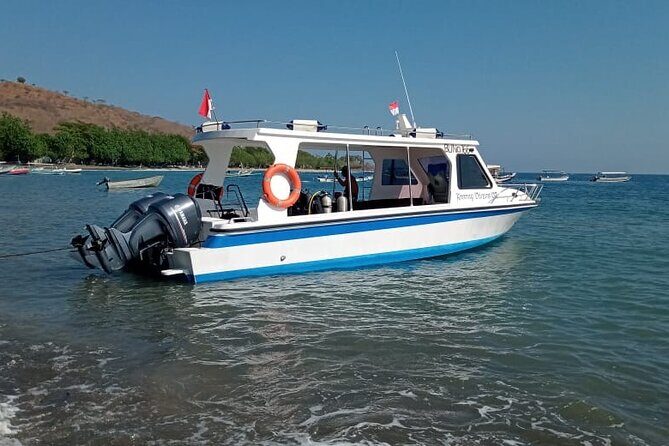 Snorkeling Trip to Menjangan Island - Where The Day Can Be Less Perfect