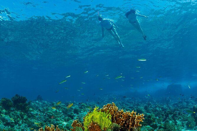 Snorkeling Trip to Menjangan Island - Included Gear, Entrance Fee, Towels, Lunch, And The Little Stuff
